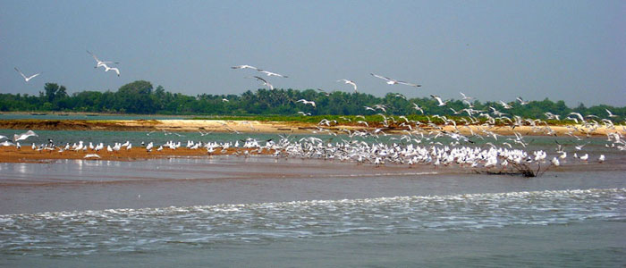 chilika-tour