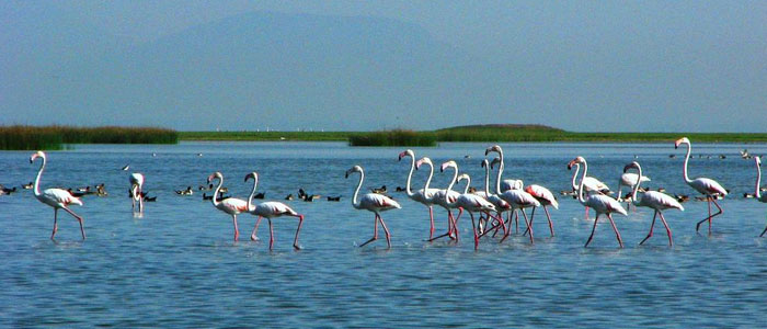 Nalabana Island