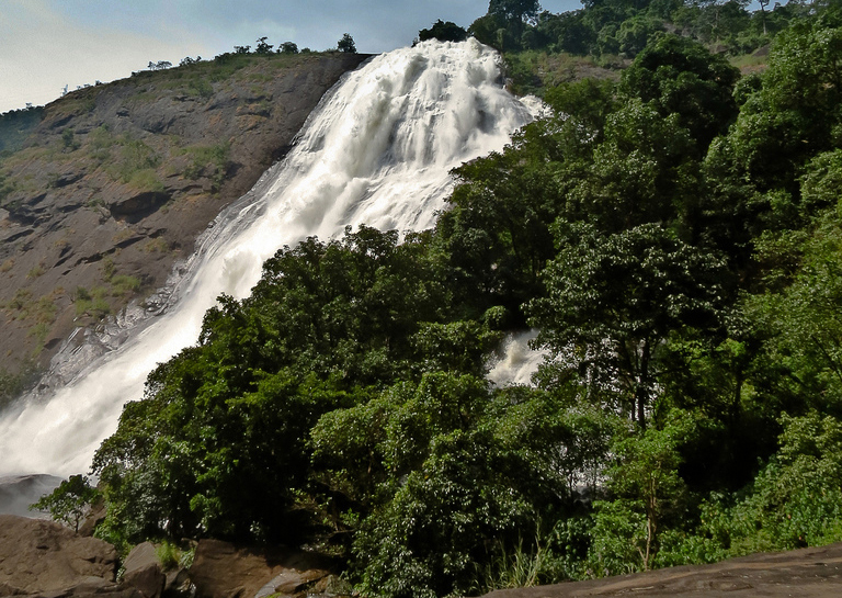 Want to make your tour memorable Contact Tour operators in Odisha
