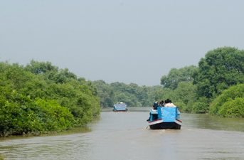 bhitarkanika-national-park