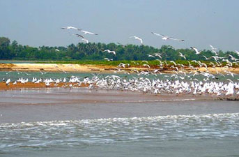 chilika-lake