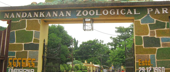 Nandankanan Zoo