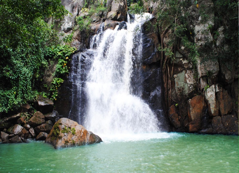 Best Diamond Triangle of Odisha with Chilika - Patra Tours And Travels