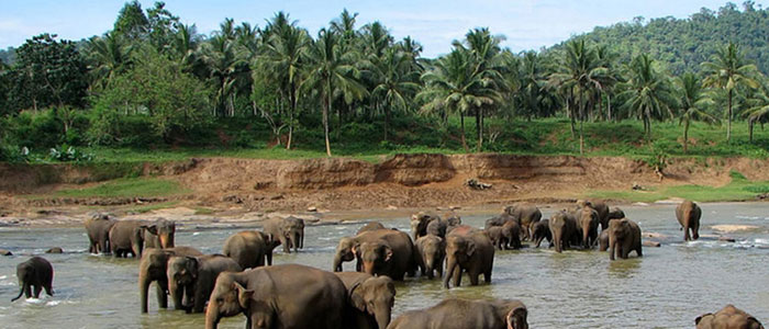 belghar-wildlife-sanctuary