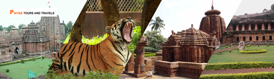 Diamond Triangle of Odisha With Chilika - Patra Tours And Travels