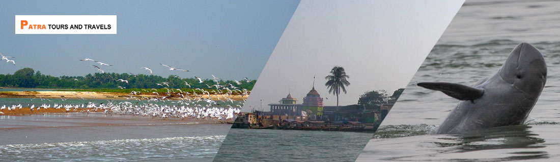 Best of Odisha Tour