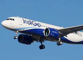 Indigo
