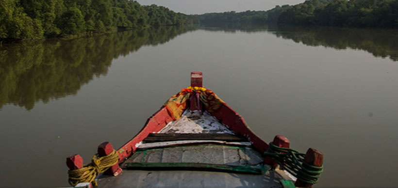 tour of bhitarkanika