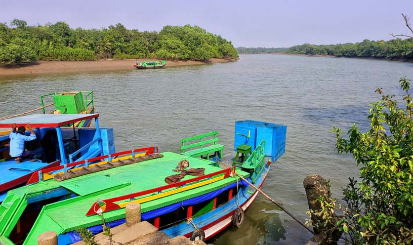 tour of bhitarkanika