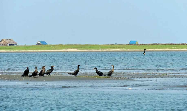 chilika-lake-tour-package -the-complete-tour-experience-in-odisha