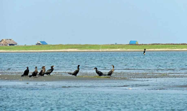 chilika lake tourist spot