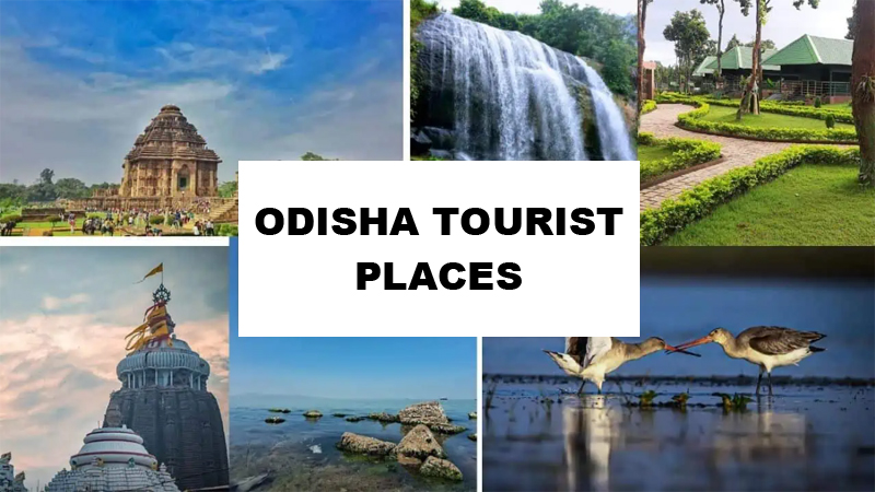 odisha-tourist-places-offers-a-glimpse-into-the-state's-vibrant-tapestry-of-experiences