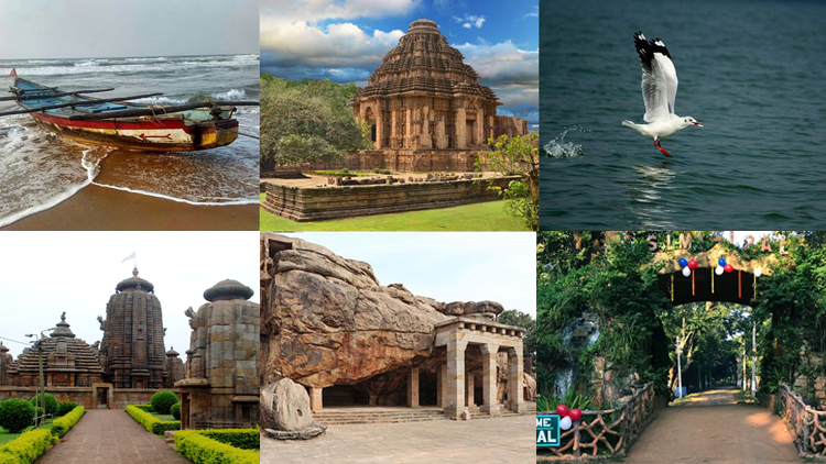 odisha-tourism-offers-the-opportunity-to-explore-its-lush-forests-and-wildlife-sanctuaries