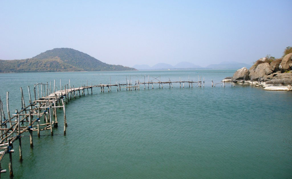 Set out on an adventure to encounter the incredible Wildlife tours in Odisha