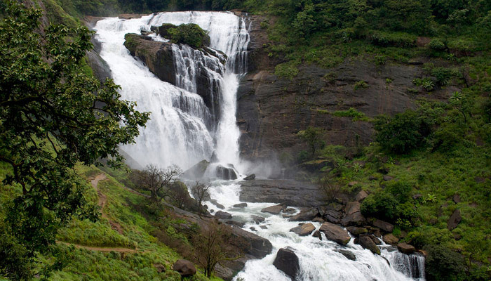 Escape to the Misty Hills: Your Perfect Coorg Tour Package 3 Nights 4 Days