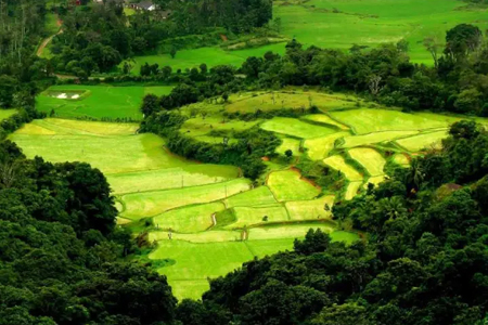 coorg-tour-package-3-nights-4-days