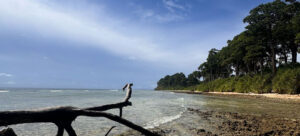 andaman-tour-package-5-night-6-day-from-bhubaneswar-by-patra-travels