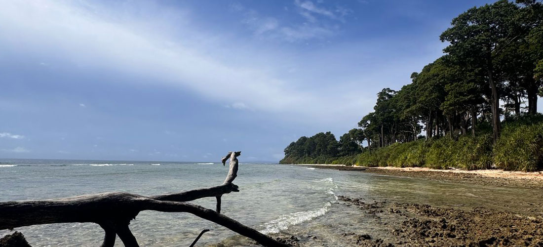 andaman-tour-package-5-night-6-day-from-bhubaneswar-by-patra-travels