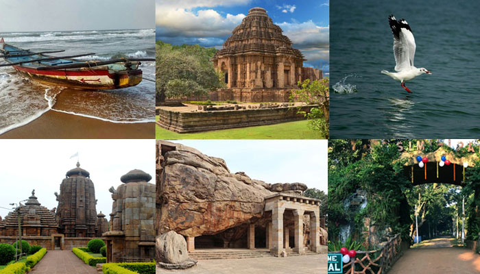 Discover the Best Odisha Govt Tourism Packages for a Hassle-Free Holiday Experience