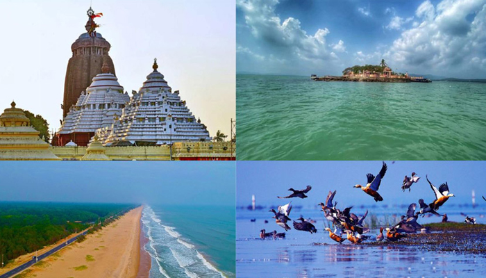 Explore Bhubaneswar and Beyond with Patra Travels: Your Trusted Local Travel Agents