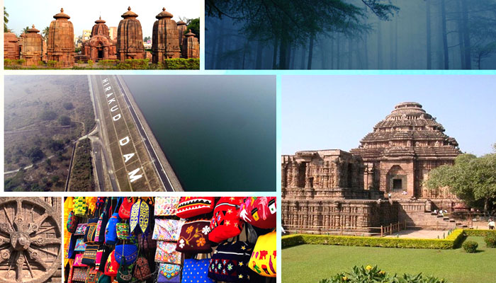 Discover Seamless Travel Experiences with Patra Travels, the Leading Travel Agents in Odisha