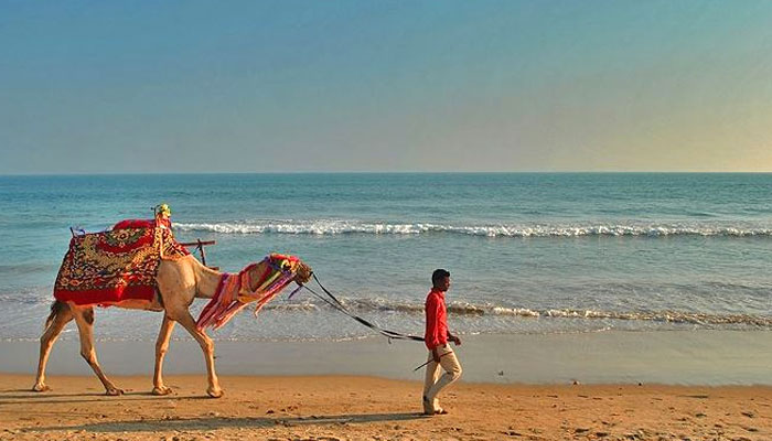 Unlock Ancient Wonders & Coastal Charms: Your Ultimate Guide to Planning an Odisha Trip